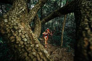 BIB: 
                            <button type="button" onclick="openModal(25670140)" class="btn btn-primary btn-sm float-right btn-popup" data-toggle="modal" data-target=".modal-high-quality">
                        <i class="fas fa-shopping-cart"></i> Add to Cart
                    </button>
                                            <button type="button" onclick="isThisMe(25670140, true)" class="btn btn-success btn-sm float-right btn-popup btn-isme hidden" data-toggle="tooltip" data-placement="bottom" title="นี่คือรูปของคุณใช่ไหม คลิกที่นี่เพื่อเอาเข้าอัลบั้ม">
                        <i class="fas fa-plus"></i> Add to album
                    </button>
                    <button type="button" onclick="isThisMe(25670140, false)" class="btn btn-warning btn-sm float-right btn-popup btn-isnotme hidden">
                        <i class="fas fa-ban"></i> Remove from album
                    </button>